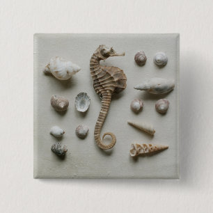 Badge Carré 5 Cm Hippocampe et coquilles