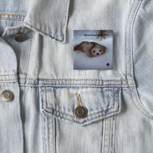 Badge Carré 5 Cm Hiver - Weasel à queue courte (En situation)