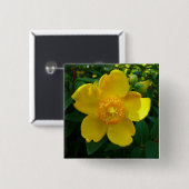 Badge Carré 5 Cm Hypericum Hidcote (Saint-Jean) (Devant & derrière)