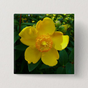 Badge Carré 5 Cm Hypericum Hidcote (Saint-Jean)