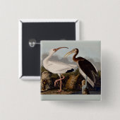 Badge Carré 5 Cm Ibis blanc Audubon (Devant & derrière)