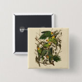 Badge Carré 5 Cm Illustration Audubon Carolina Parrot Bird (Devant & derrière)