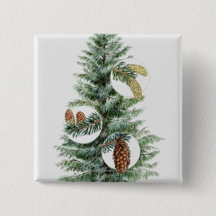 Badge Carré 5 Cm Illustration d'arbre conifére avec des cônes