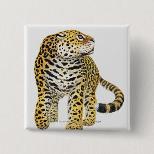 Badge Carré 5 Cm Illustration de Jaguar avec la tête dans le profi