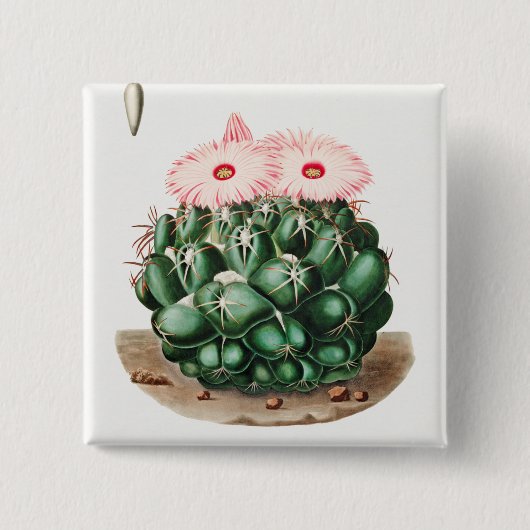 Badge Carré 5 Cm Illustration de la fleur de cactus à dents de l'él (Devant)