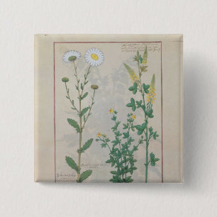 Badge Carré 5 Cm Illustration 'du livre de simple