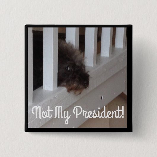 Badge Carré 5 Cm Ils disent que les chiens peuvent indiquer les (Devant)