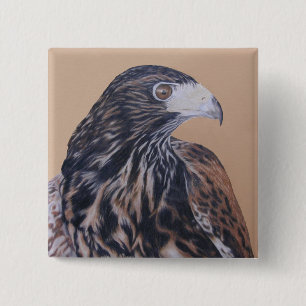 Badge Carré 5 Cm Immature Harris Hawk