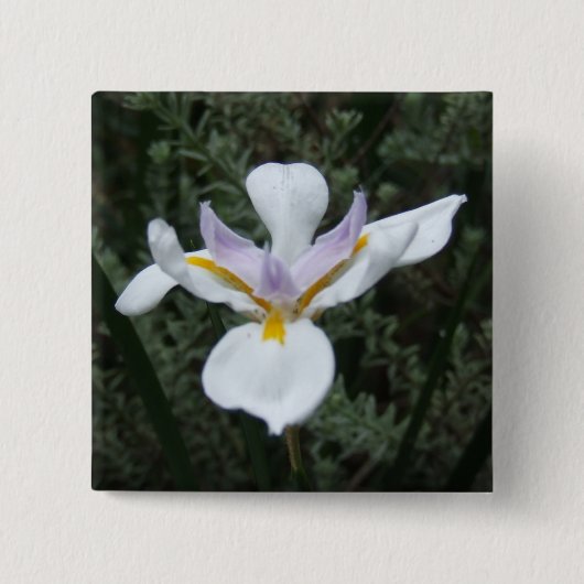BADGE CARRÉ 5 CM INSIGNE MAUVE DE FLEUR D'IRIS (Devant)