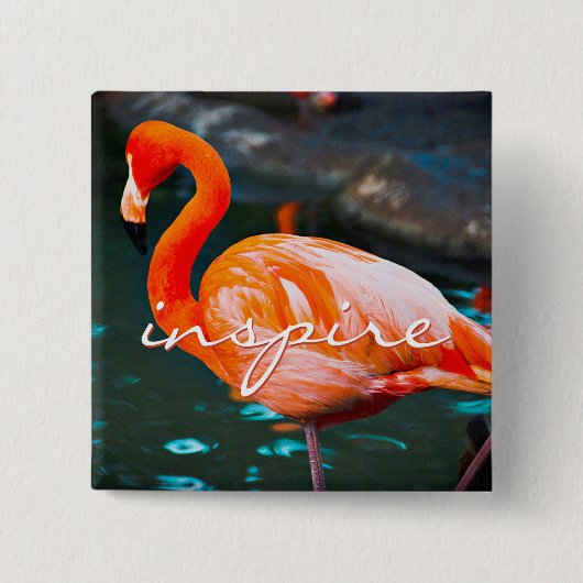 Badge Carré 5 Cm Inspirer Script Flamant rose rose Photo Moderne De (Devant)