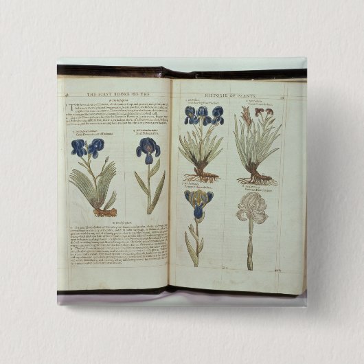 Badge Carré 5 Cm Iris (Devant)