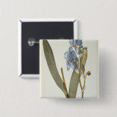 Badge Carré 5 Cm Iris Pallida, de "Les Liliacees", 1812 (Devant & derrière)