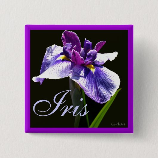 Badge Carré 5 Cm Iris pourpre bleu géant (Devant)