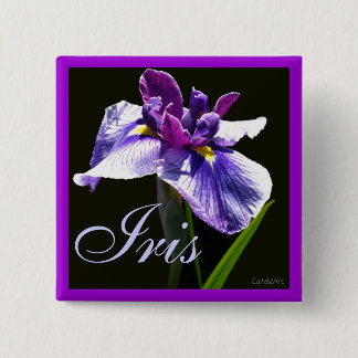 Badge Carré 5 Cm Iris pourpre bleu géant