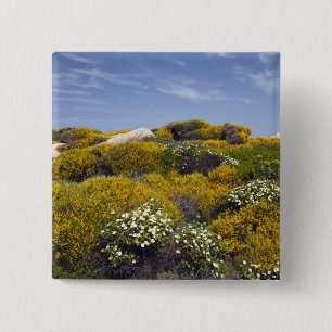 Badge Carré 5 Cm Italie, Sardaigne, Père Noël Teresa Gallura. Cap