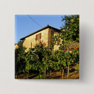 Badge Carré 5 Cm Italie, Toscane, Greve. Scènes de vin fin d'été