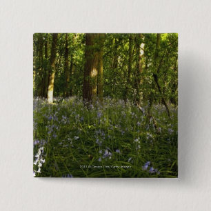 Badge Carré 5 Cm Jacinthes des bois dans une forêt