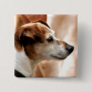 BADGE CARRÉ 5 CM JACK RUSSELL TERRIER CHIEN