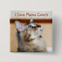 J'aime l'insigne du ragondin du Maine - chaton de