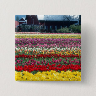 Badge Carré 5 Cm Jardin de tulipes, comté de Skagit,