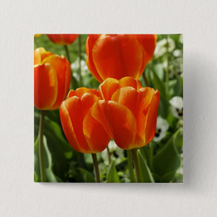 Badge Carré 5 Cm Jardin de tulipes printanières