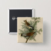 Badge Carré 5 Cm Jaseur cèdre d'Audubon (Devant & derrière)