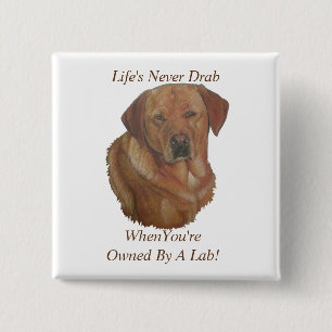 Badge Carré 5 Cm jaune labrador retreiver chien portrait slogan amu