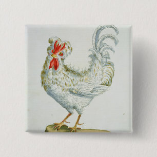 Badge Carré 5 Cm Jeune coq Bouclé-Haired, c.1767-76 (en colorée par