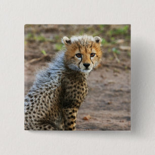 Badge Carré 5 Cm Jeune guépard Acinonyx Jubatus)
