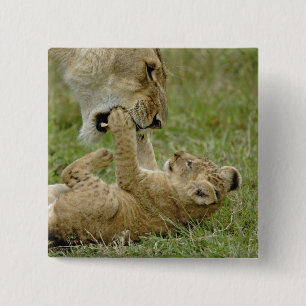 Badge Carré 5 Cm Jeune lion jouant