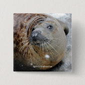 Badge Carré 5 Cm Joint gris sur la glace (Devant)