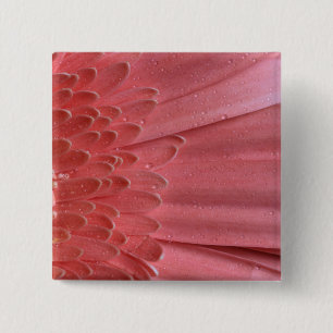 Badge Carré 5 Cm Joli Coral rose Gerbera Daisy