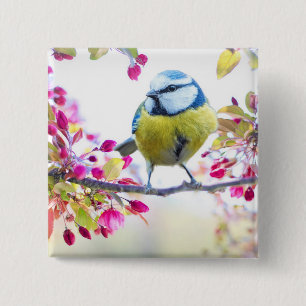 Badge Carré 5 Cm Joli oiseau bleu et jaune sur une branche Photogra