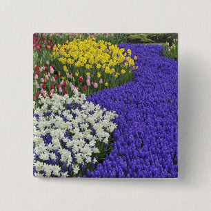 Badge Carré 5 Cm Jonquilles et muscaris, Keukenhof 2