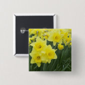 Badge Carré 5 Cm Jonquilles RF) (Devant & derrière)