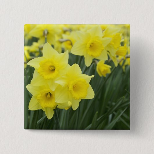 Badge Carré 5 Cm Jonquilles RF) (Devant)