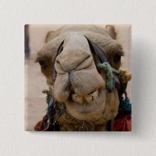 Badge Carré 5 Cm Jordanie, ancienne ville nabatéenne de Petra