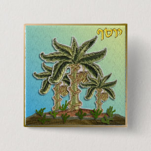 Badge Carré 5 Cm Judaica 12 Tribus d'Israël Joseph Bouton à épingle