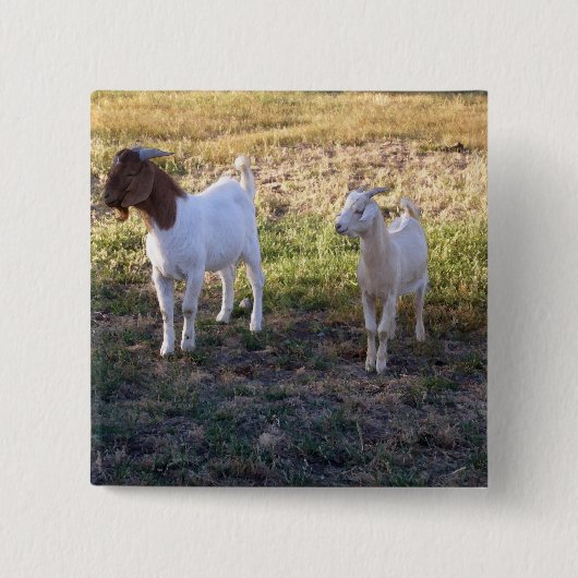 Badge Carré 5 Cm July2008_TwoGoats_v2 (Devant)