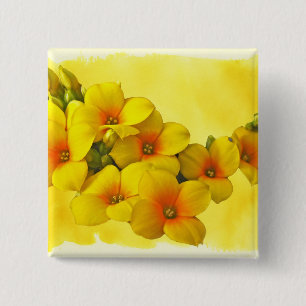 Badge Carré 5 Cm Kalanchoe Jaune - Soleil Succulent