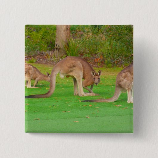 Badge Carré 5 Cm kanga (Devant)