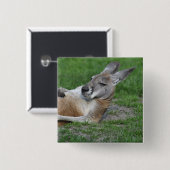 Badge Carré 5 Cm Kangaroo à dos (Devant & derrière)