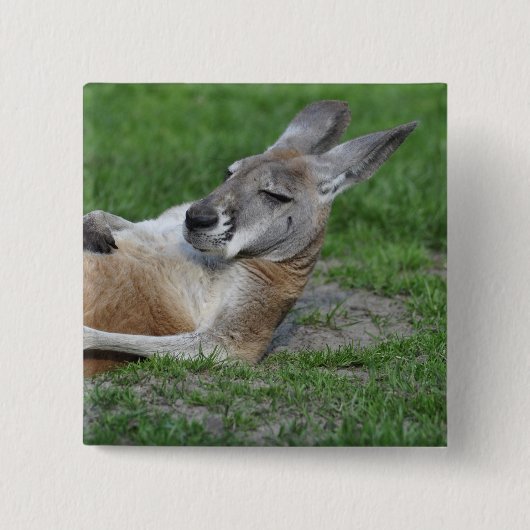 Badge Carré 5 Cm Kangaroo à dos (Devant)