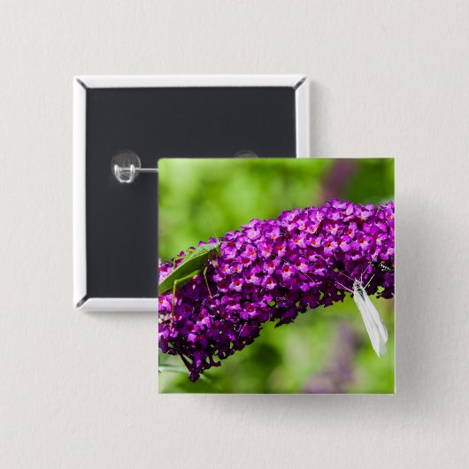 Badge Carré 5 Cm katydid energy (Devant & derrière)