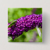 Badge Carré 5 Cm katydid energy (Devant)