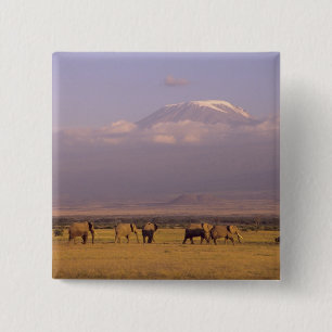 Badge Carré 5 Cm Kenya : parc national d'Amboseli, Éléphants