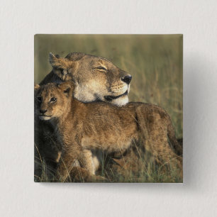 Badge Carré 5 Cm Kenya, réserve de gibier Masai Mara, lionne