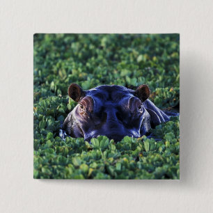 Badge Carré 5 Cm Kenya, Réserve nationale du Masaï Mara.