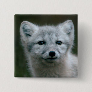 Badge Carré 5 Cm Kit de Fox arctique des images de Getty