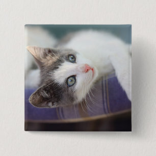 Badge Carré 5 Cm Kitty doux dans le lit de plaid